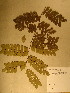  ( - GiD0175)  @11 [ ] No Rights Reserved  NRR Unspecified
