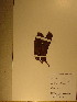  (Julbernardia pellegriniana - GiD0179)  @11 [ ] No Rights Reserved  NRR Unspecified
