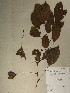  ( - GiD0194)  @11 [ ] No Rights Reserved  NRR Unspecified