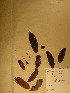  ( - GiD0316)  @11 [ ] No Rights Reserved  NRR Unspecified