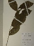  ( - GiD0325)  @11 [ ] No Rights Reserved  NRR Unspecified
