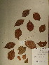  ( - GiD0314)  @11 [ ] No Rights Reserved  NRR Unspecified