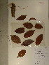  ( - GiD0274)  @11 [ ] No Rights Reserved  NRR Unspecified