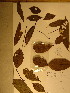  ( - GiD0272)  @11 [ ] No Rights Reserved  NRR Unspecified
