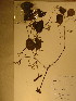  ( - GiD1503)  @11 [ ] No Rights Reserved  NRR Unspecified
