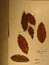  ( - GiD0454)  @11 [ ] No Rights Reserved  NRR Unspecified