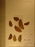  ( - GiD0433)  @11 [ ] No Rights Reserved  NRR Unspecified