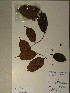  ( - GiD1430)  @11 [ ] No Rights Reserved  NRR Unspecified