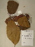  ( - GiD1074)  @11 [ ] No Rights Reserved  NRR Unspecified