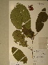  ( - GiD1416)  @11 [ ] No Rights Reserved  NRR Unspecified