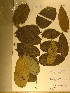  ( - GiD1352)  @11 [ ] No Rights Reserved  NRR Unspecified
