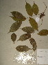 ( - GiD1334)  @11 [ ] No Rights Reserved  NRR Unspecified