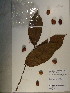  ( - GiD1399)  @11 [ ] No Rights Reserved  NRR Unspecified