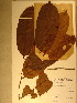  ( - GiD1292)  @11 [ ] No Rights Reserved  NRR Unspecified