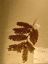  ( - GiD1414)  @11 [ ] No Rights Reserved  NRR Unspecified