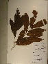  ( - GiD1436)  @11 [ ] No Rights Reserved  NRR Unspecified