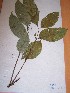  ( - MPADN0034)  @11 [ ] No Rights Reserved  Unspecified Unspecified