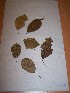  ( - MPADN0078)  @11 [ ] No Rights Reserved  Unspecified Unspecified