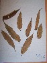  ( - MPADN0026)  @11 [ ] No Rights Reserved  Unspecified Unspecified