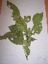  ( - MPADN0283)  @11 [ ] No Rights Reserved  Unspecified Unspecified