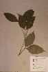  ( - Aulajasm_PM5167)  @11 [ ] No Rights Reserved  NRR Unspecified