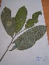  ( - MPADN0295)  @11 [ ] No Rights Reserved  Unspecified Unspecified