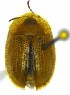  ( - NCT_G05)  @11 [ ] CreativeCommons - Attribution Non-Commercial Share-Alike (2019) Neslihan Bal Gazi University