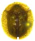  ( - NCT_H04)  @11 [ ] CreativeCommons - Attribution Non-Commercial Share-Alike (2019) Neslihan Bal Gazi University