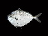  ( - TCFBP_Seru1)  @14 [ ] Unspecified (default): All Rights Reserved  Unspecified Unspecified
