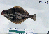  ( - NH-46)  @13 [ ] No Rights Reserved  Unspecified Unspecified
