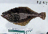  ( - NH-48)  @13 [ ] No Rights Reserved  Unspecified Unspecified