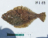  ( - NH-55)  @14 [ ] No Rights Reserved  Unspecified Unspecified