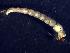 (Cricotopus sylvestris gr. sp - TUSEG256)  @11 [ ] CreativeCommons - Attribution Share-Alike (2019) Susan Gresens Towson University