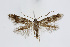  ( - BC_LSNOE_Lep_01663)  @11 [ ] CreativeCommons - Attribution Non-Commercial Share-Alike (2019) Wolfgang Stark Landessammlungen Niederösterreich