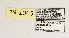  ( - ABOL-BioBlitz 2019 19-1065)  @11 [ ] CreativeCommons - Attribution Share-Alike (2020) Unspecified Bundesforschungs- und Ausbildungszentrum fur Wald