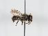  ( - ABOL-BioBlitz 2019 HT0002_S)  @11 [ ] CC NCBYSA (2020) Schoder Sabine Naturhistorisches Museum Wien