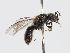  ( - ABOL-BioBlitz 2019 PB_0055)  @11 [ ] CC NCBYSA (2020) Schoder Sabine Naturhistorisches Museum Wien