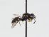  ( - ABOL-BioBlitz 2019 TI_0035_S)  @13 [ ] CC NCBYSA (2020) Schoder Sabine Naturhistorisches Museum Wien