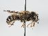  ( - ABOL-BioBlitz 2019 W_0007_S)  @13 [ ] CC NCBYSA (2020) Schoder Sabine Naturhistorisches Museum Wien