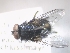  ( - ABOL-25-0417)  @11 [ ] Unspecified (default): All Rights Reserved (2025) Gerhard Schlüsslmayr Unspecified