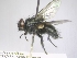  ( - ABOL-25-0419)  @11 [ ] Unspecified (default): All Rights Reserved (2025) Gerhard Schlüsslmayr Unspecified