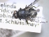  ( - ABOL-25-0419)  @11 [ ] Unspecified (default): All Rights Reserved (2025) Gerhard Schlüsslmayr Unspecified