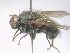  ( - ABOL-25-0426)  @11 [ ] Unspecified (default): All Rights Reserved (2025) Gerhard Schlüsslmayr Unspecified