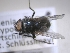  ( - ABOL-25-0679)  @11 [ ] Unspecified (default): All Rights Reserved (2025) Gerhard Schlüsslmayr Unspecified