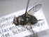  ( - ABOL-25-0686)  @11 [ ] Unspecified (default): All Rights Reserved (2025) Gerhard Schlüsslmayr Unspecified