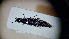  ( - ABDR24_046)  @11 [ ] Unspecified (default): All Rights Reserved (2025) Dominik Rabl Unspecified
