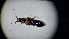  ( - ABDR24_048)  @11 [ ] Unspecified (default): All Rights Reserved (2025) Dominik Rabl Unspecified