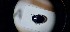  ( - ABDR24_073)  @11 [ ] Unspecified (default): All Rights Reserved (2025) Dominik Rabl Unspecified