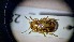  ( - ABDR24_128)  @11 [ ] Unspecified (default): All Rights Reserved (2025) Dominik Rabl Unspecified