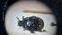  ( - ABDR24_140)  @11 [ ] Unspecified (default): All Rights Reserved (2025) Dominik Rabl Unspecified